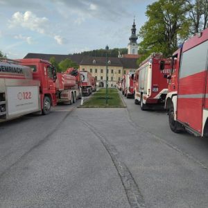 WaldbrandRein (15)